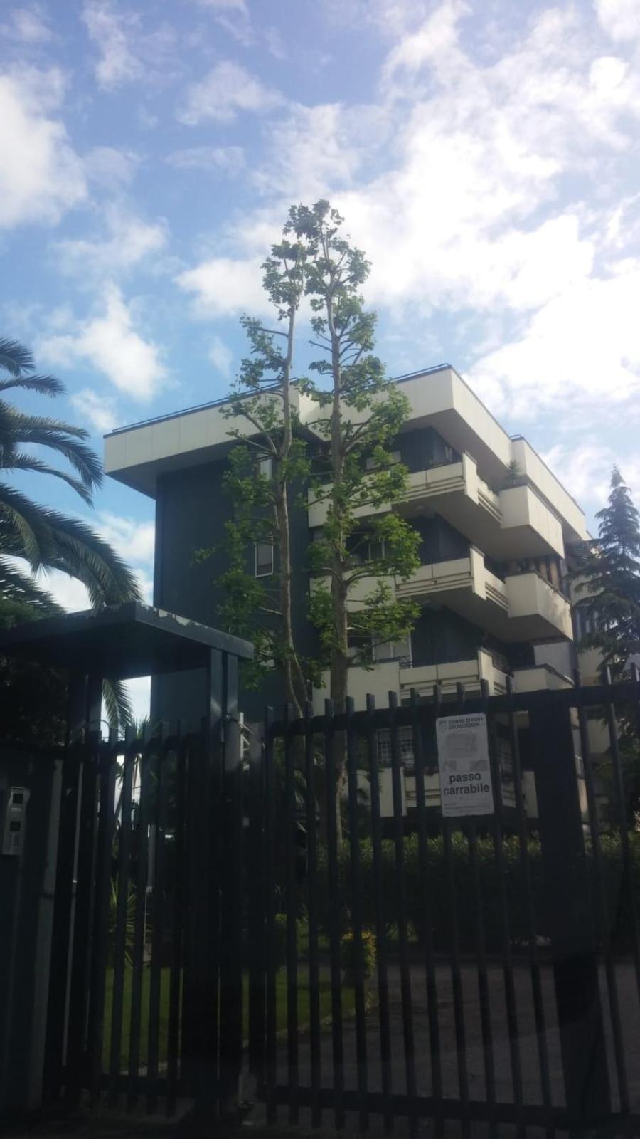 Casa Giordano Apartman Róma Kültér fotó
